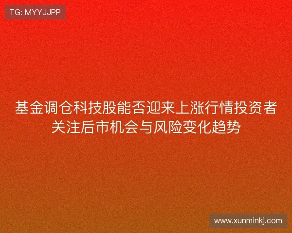 基金调仓科技股能否迎来上涨行情投资者关注后市机会与风险变化趋势